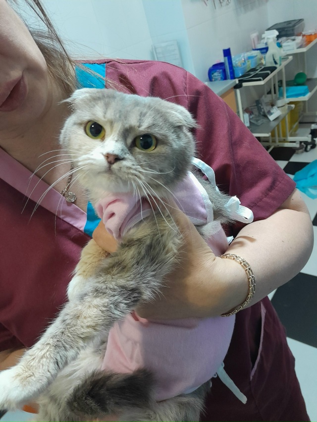 Друзья!
КАТАСТРОФИЧЕСКИ СРОЧНО!
Мы снова к вам с прось...