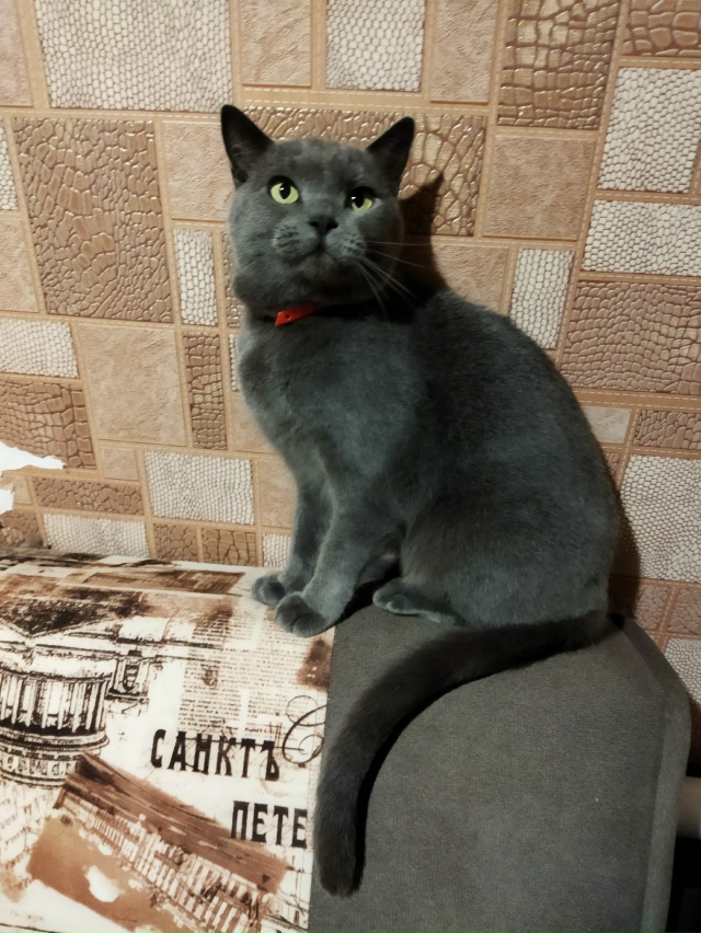 Ксюша моя на диване.