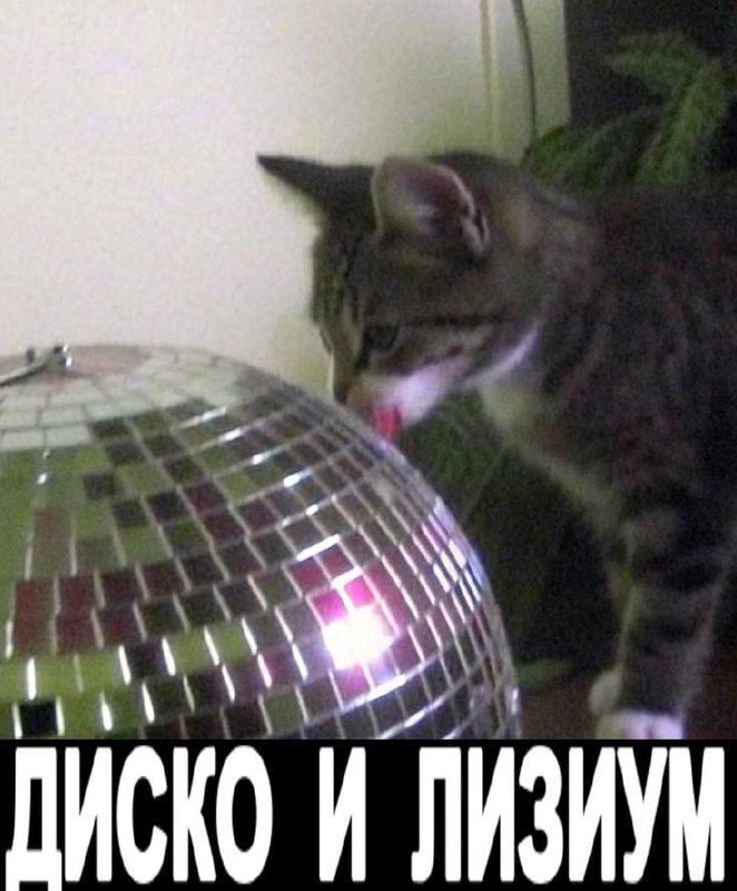 Утренняя подборочка