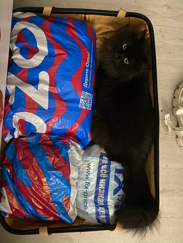 Все своё ношу с собой