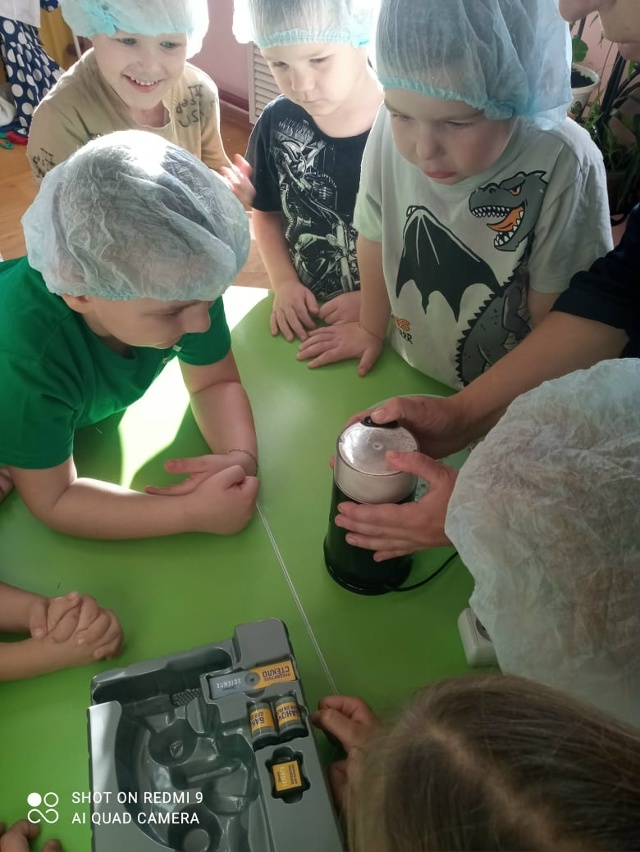 ?⭐️ Изучение профессии агронома в проекте 