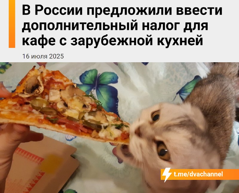 ‼️Иностранный фастфуд В С Ё: в России захотели ввести налог на… пиццу, роллы и другие иностранные бл