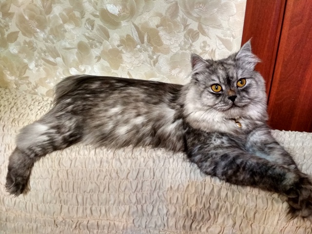 Макс