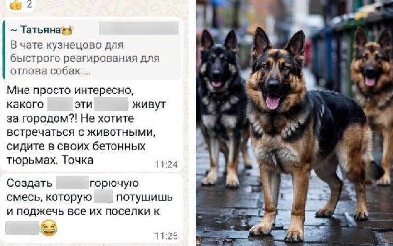 СК завёл дело после угроз в адрес родителей 10-летнего мальчика из Красноярского края, которого насм