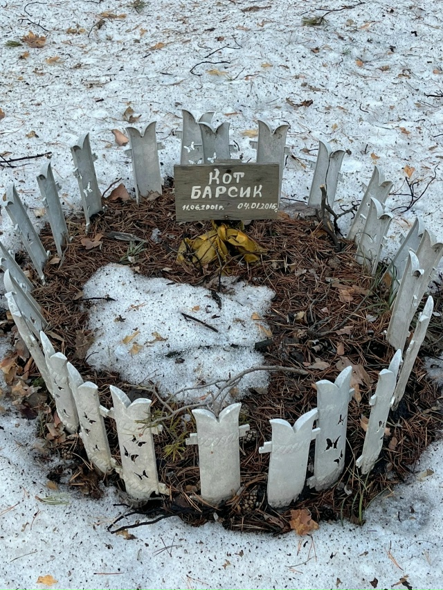 ⚡️С 1 марта 2025 владельцам запрещено хоронить домашних...