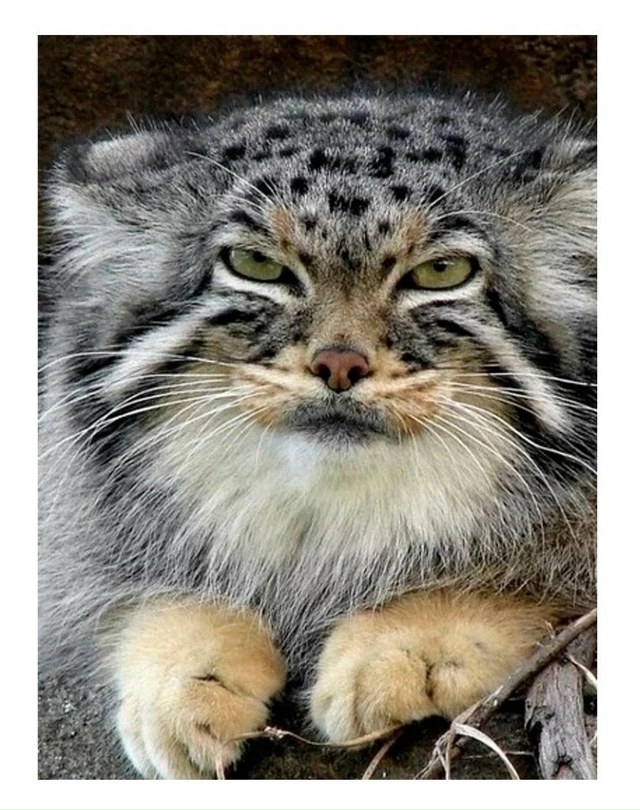 Очень важный совет.