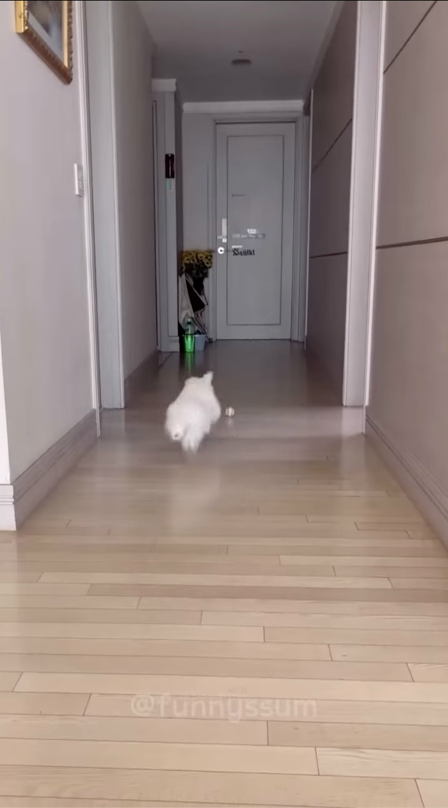 Какие странные игры