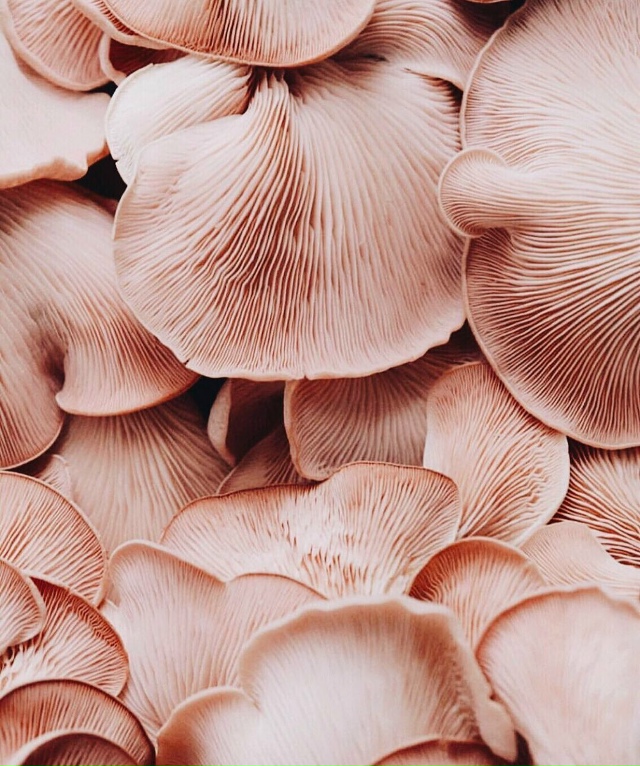 Всё самое прекрасное создано природой.