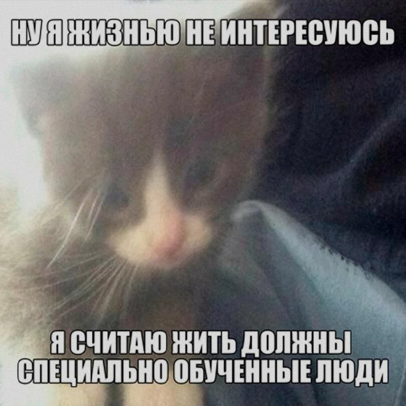 Ночная подборочка
Спать, режим