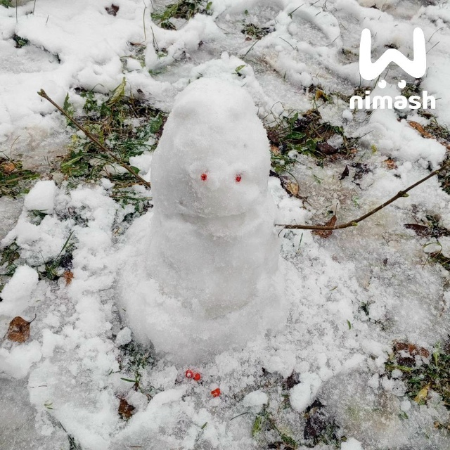 🎄⛄Снежные экспонаты появились во дворах Нижегородск...