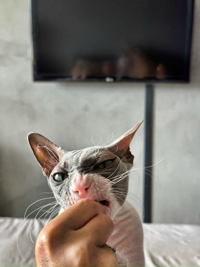 Случилась Стичевая фотосессия 💔