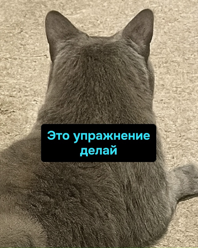 Зачем абонемент в зал, если дома живёт бесплатный фитн?...