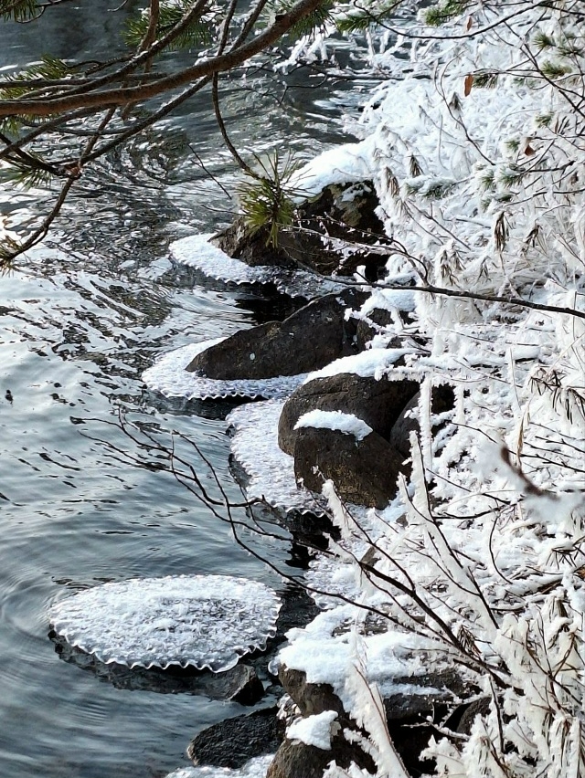 ❄ Колвицкое озеро уже разрисовал мороз
Северянка Св?...