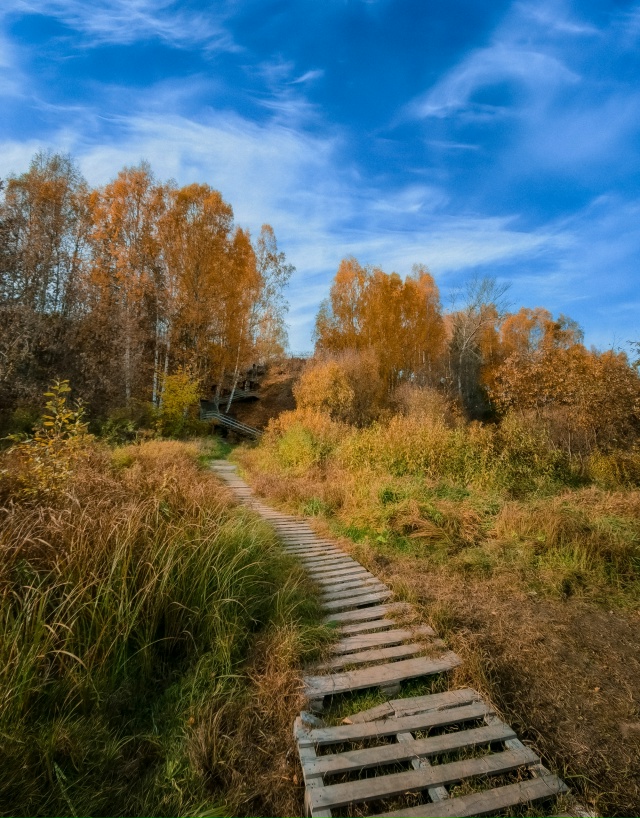 Доброе, осеннее ???
Huawei P60 Pro (lightroom)
#мобильнаяпленка...