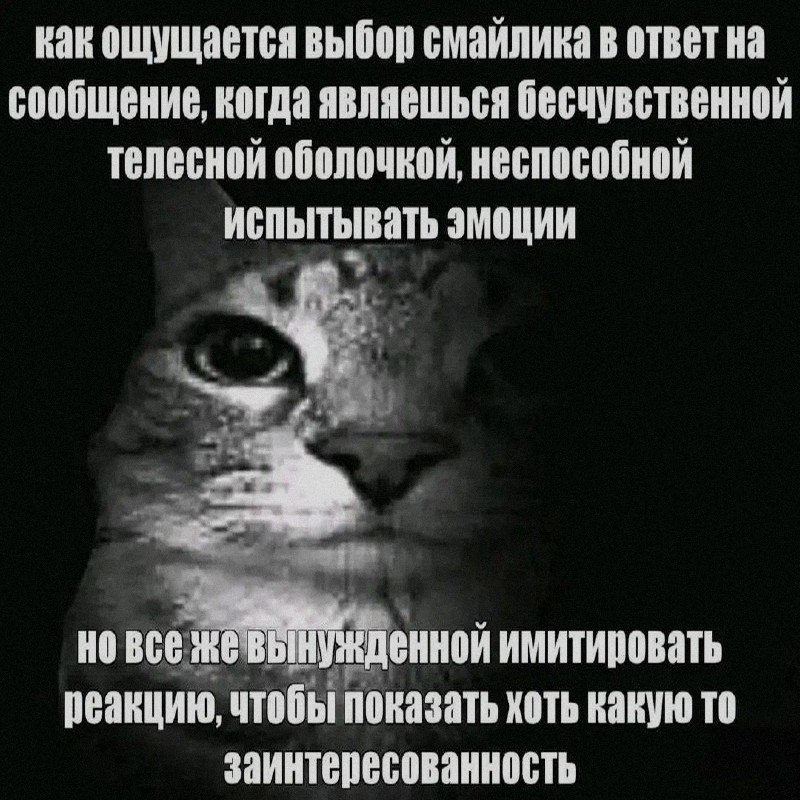 Ночная подборочка
Спать, режим