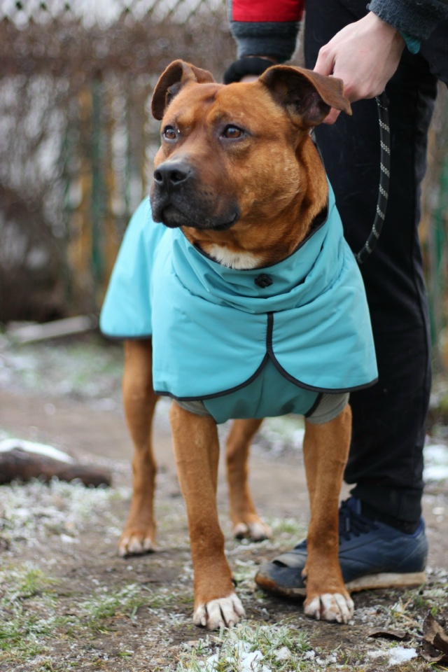 Серпухов, Протвино , Москва и вся Московская область.
С...