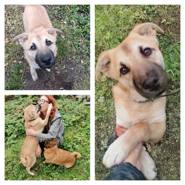 Тверь и область. ...