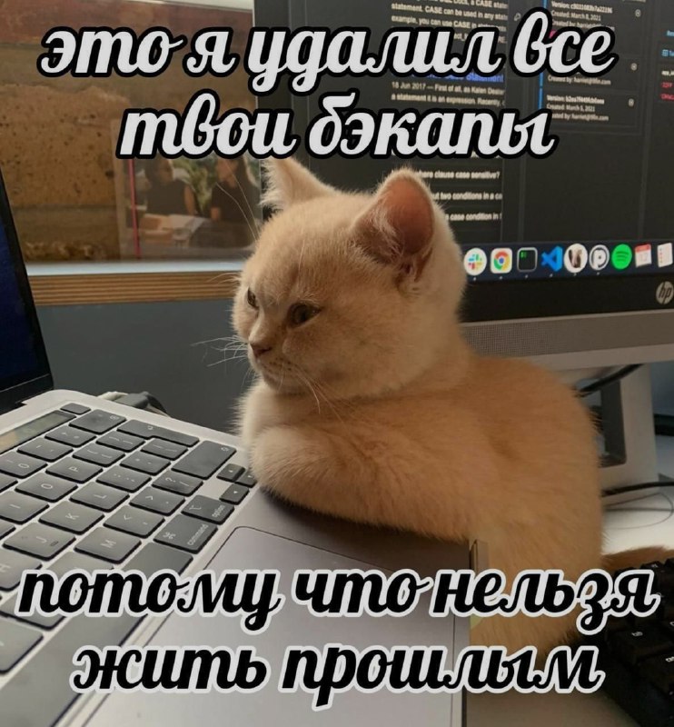 Ночная подборочка
Спать, режим