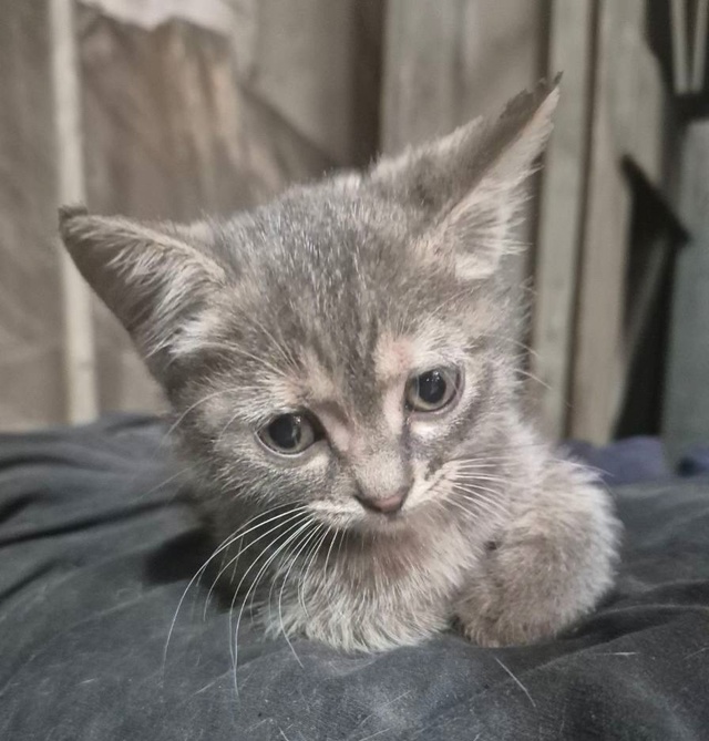 Именно так выглядит случайный подписчик этого канала, ...