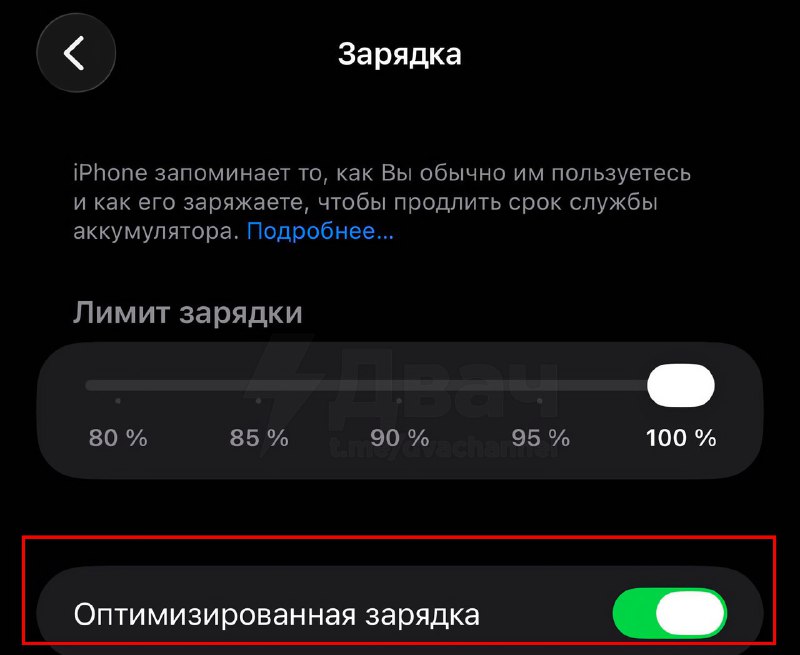Аккумулятор вашего айфона может работать намного дольше, если отключить всего три функции: в Сети ра