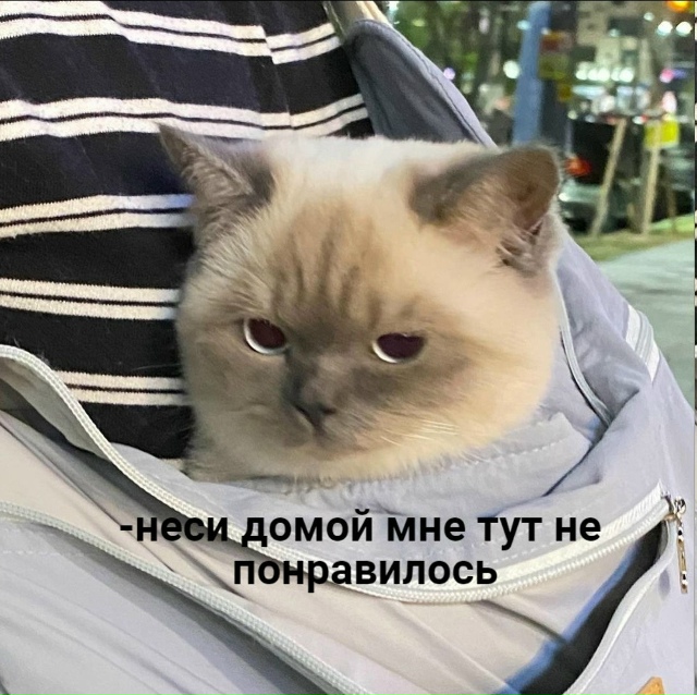 Типичная прогулка с другом-интровертом