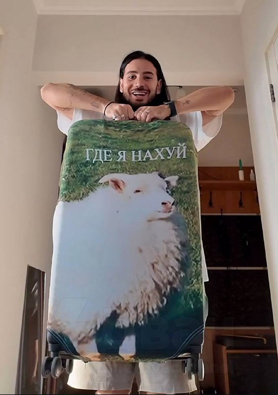 На маркетплейсы завезли чехол на чемодан для тех, кто вечно теряется
Цена — 4 тысячи рублей. Летаем