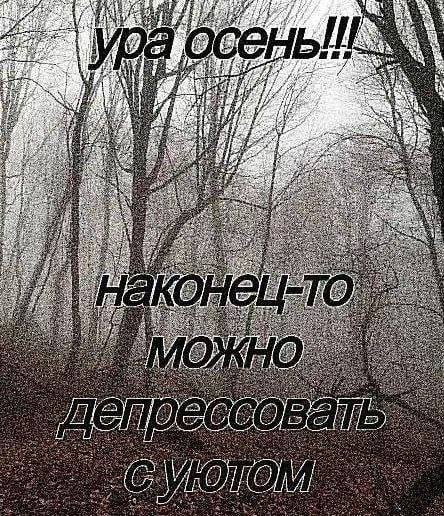 Утренняя подборочка
