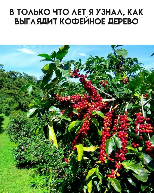 А ведь я не всё знал...
