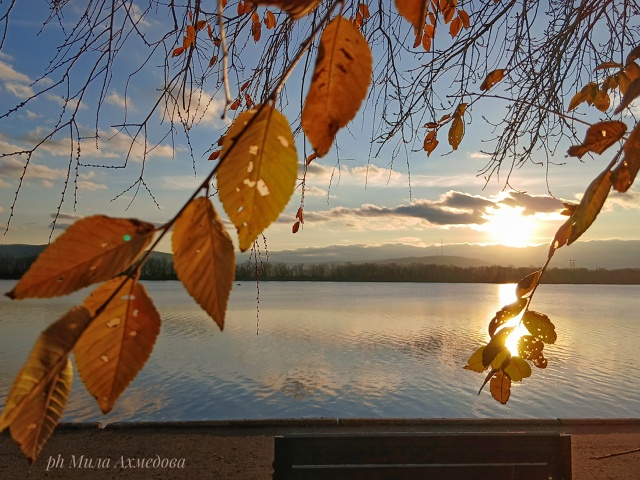 Вчерашний закат🌄
Вид на Жигулевские горы, со стороны ?...