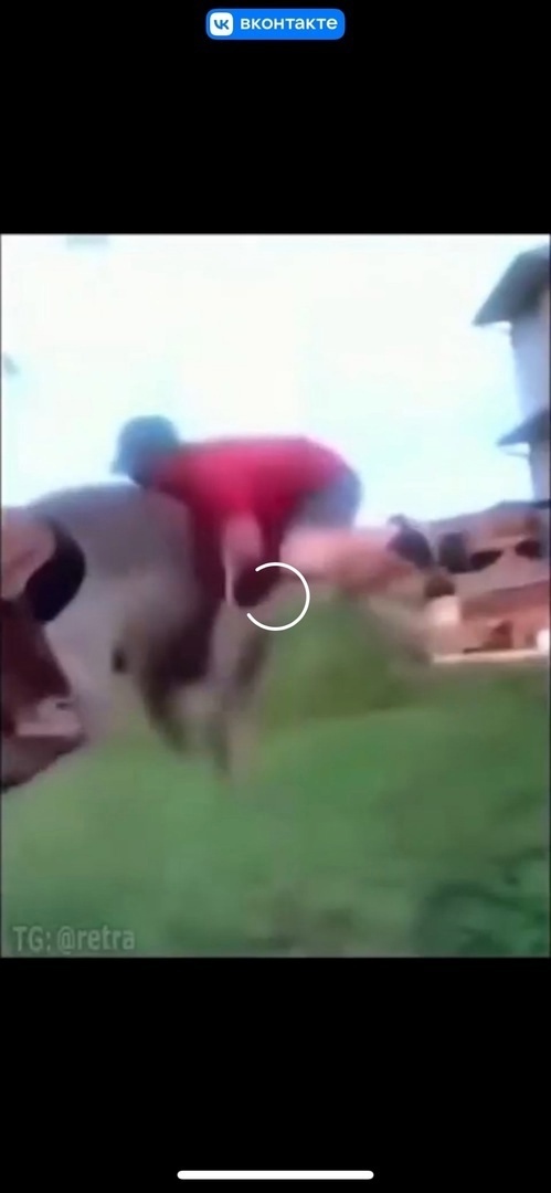 Шедеврально