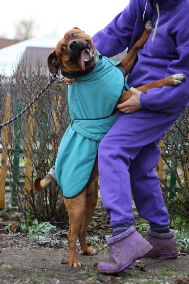 Серпухов, Протвино , Москва и вся Московская область.
С...