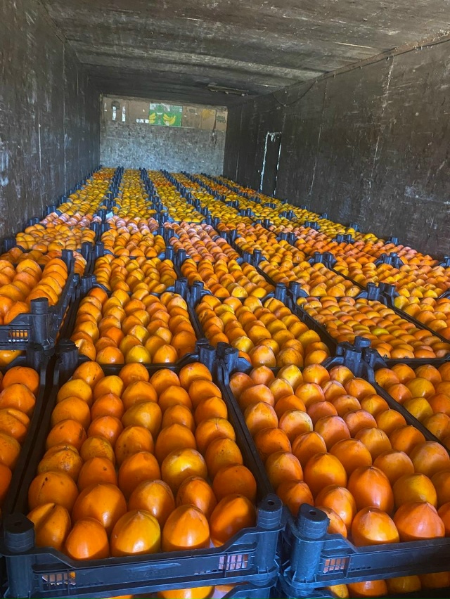 Хурма!🔥🔥🔥🔥🔥🔥🔥🔥🔥🔥🔥🔥🔥🔥
Собираю заявки н?...