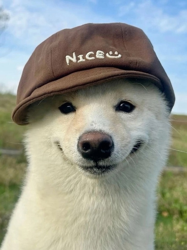 Хороший мальчик смотрит на хорошего человека