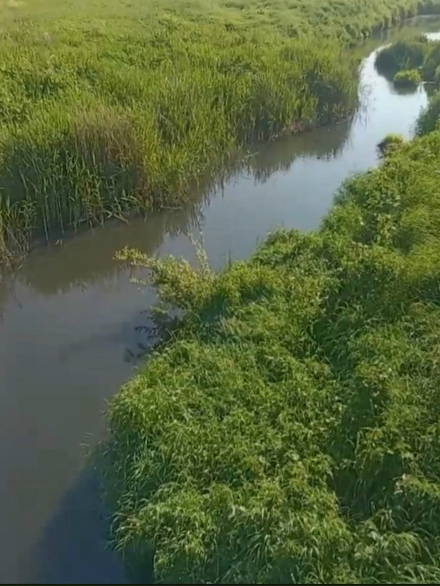 ‼️‼️14 октября на реке Постна в селе Горкино Родников...