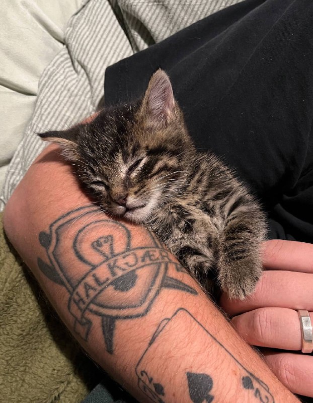 Вырубаемся споть :3