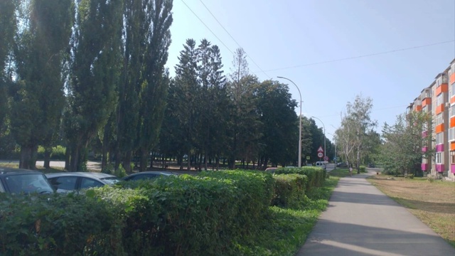 В Салавате полным ходом идет стрижка кустарников🌳 Р?...