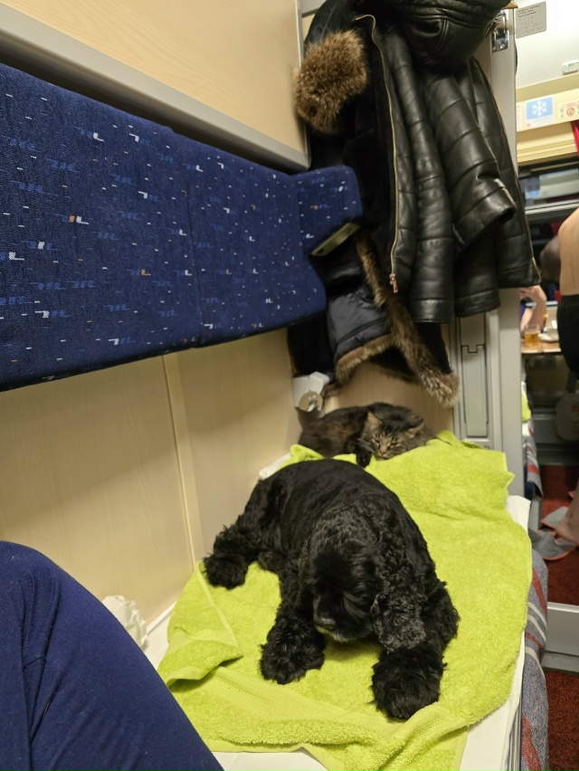 тимошка отправляется в путь.