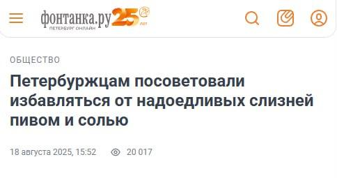 В Питере соль — всему голова.