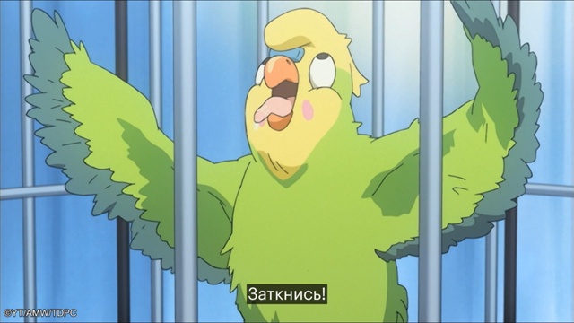 «Торадора» доступна на следующих платформах: Кинопоис...