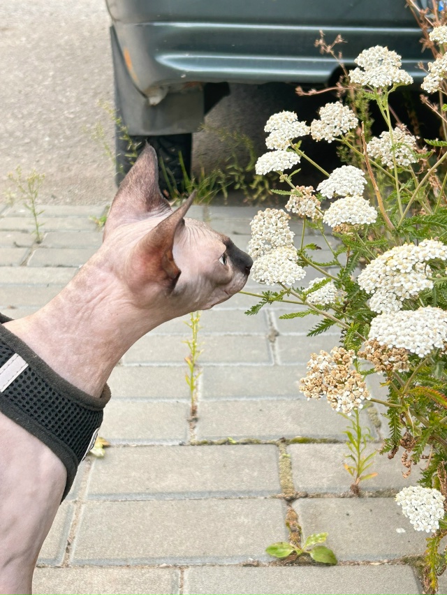 Любовались цветочками 🥰