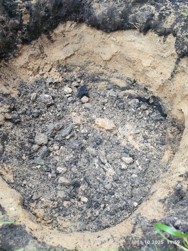 Осенью на городских улицах собираются посадить 600 дере...