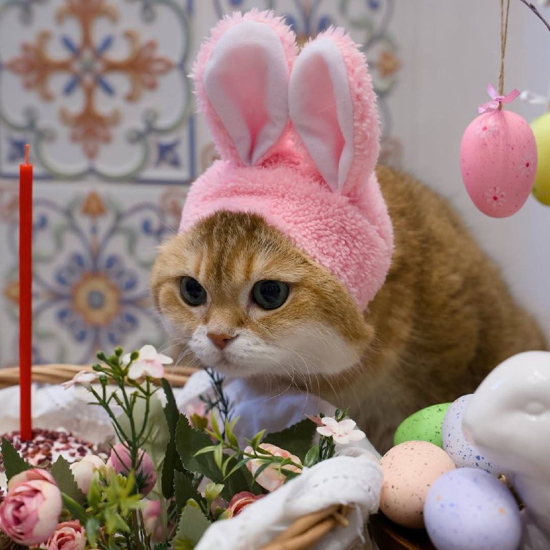 С праздником Светлой Пасхи!