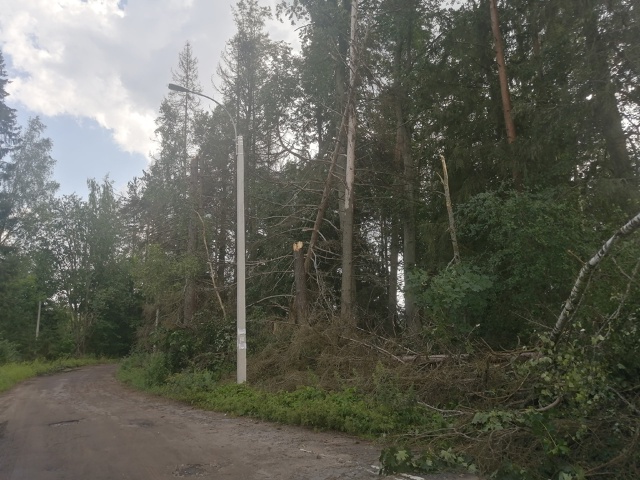 У горной 35 упавшие деревья оборвали провода освещения,...