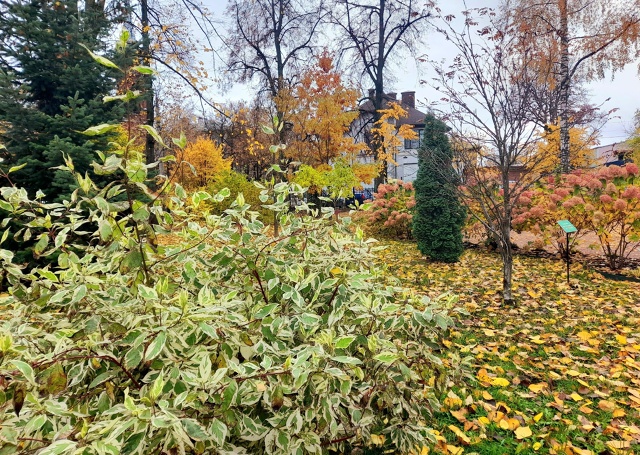 Осень в Карякинском саду ❤️
📷 Елена Михайлова