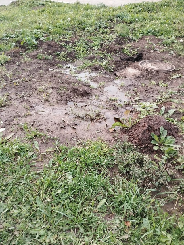 Родники и ручейки водоканала. Ул. Крупской, Мира 144 аж д?...