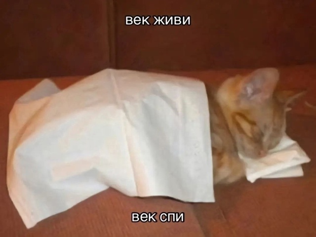 Мудрая порция советов