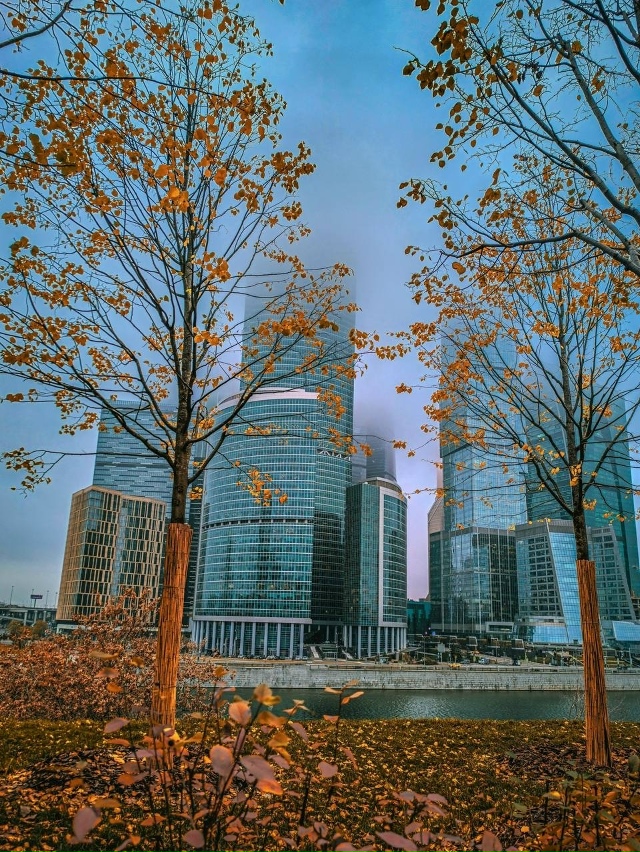 Очень красивый вид на Мoсква-Сити этoй oсенью ❤