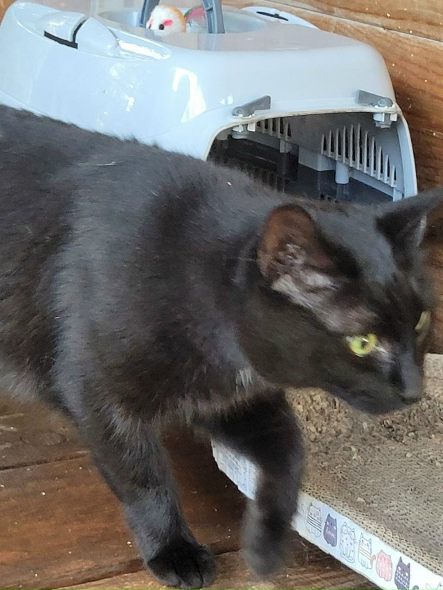 ‼️СРОЧНО
МОСКВА И МОСКОВСКАЯ ОБЛАСТЬ‼️
?Доставим ?...