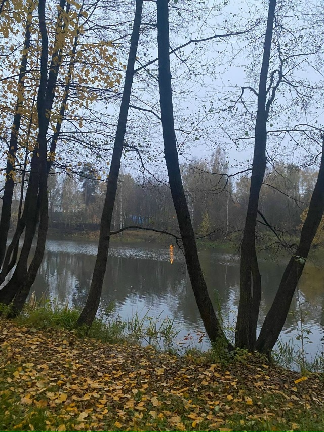 КРАСИВАЯ ОСЕНЬ В БАЛАШИХЕ! ♥♥