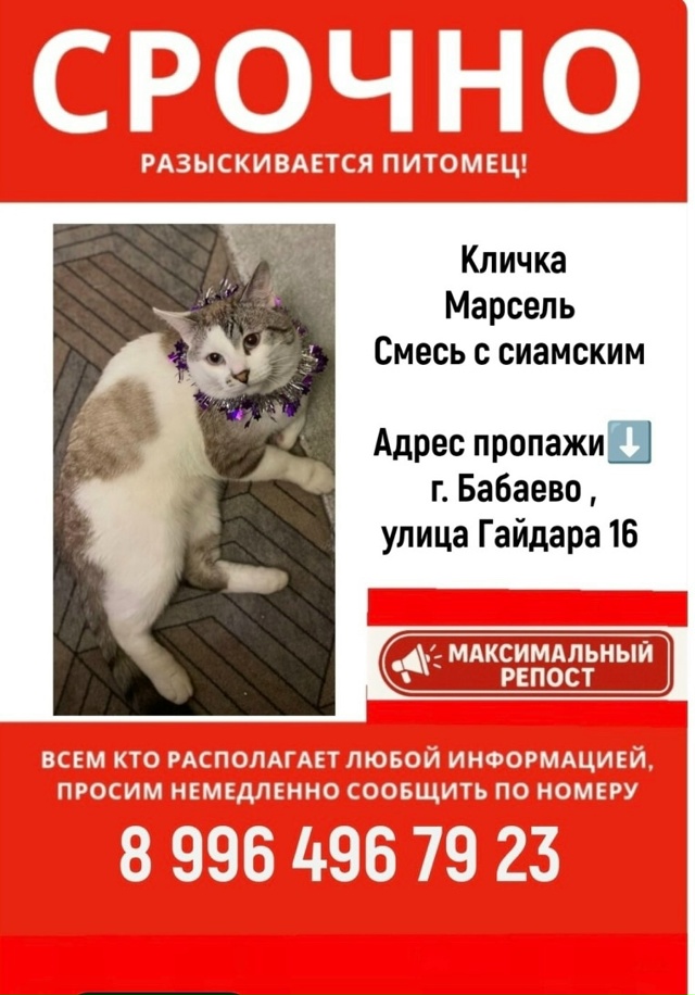 Мы еще в поисках ?
Пожалуйста сообщите любую информац...